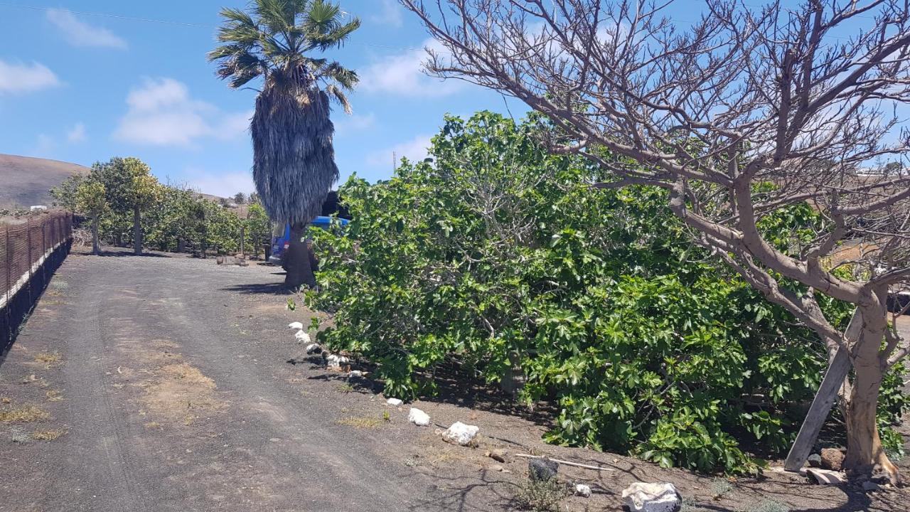 Finca Relax, Sea View, Oasis Vasiliko, La Asomada Tias Bagian luar foto